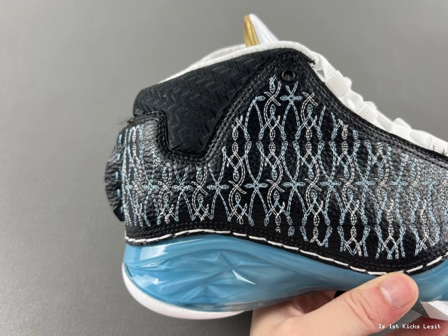 318376-041 Jordan 23 UNC 0531